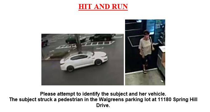 Hernando Deputies Looking For Hit-and-run Suspect | Wtsp.com